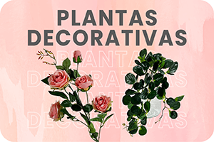 Plantas Decorativas